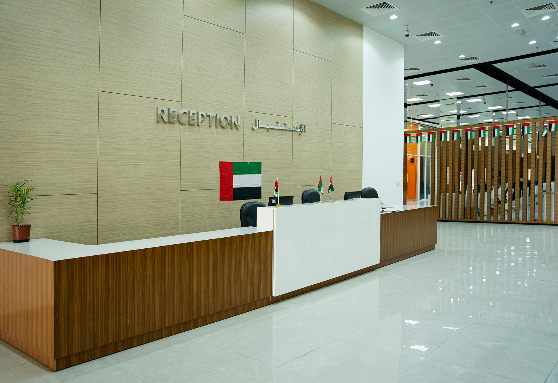 Photography Shoot 00541